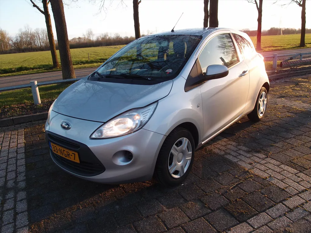 FORD Ka 1.2 51KW 2009 Limited  Schade deur en scherm (r)