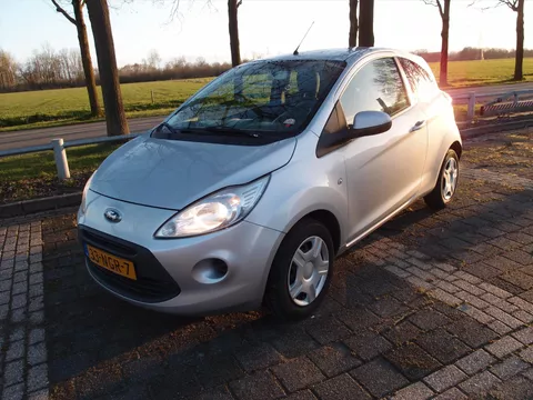 FORD Ka 1.2 51KW 2009 Limited  Schade deur en scherm (r)